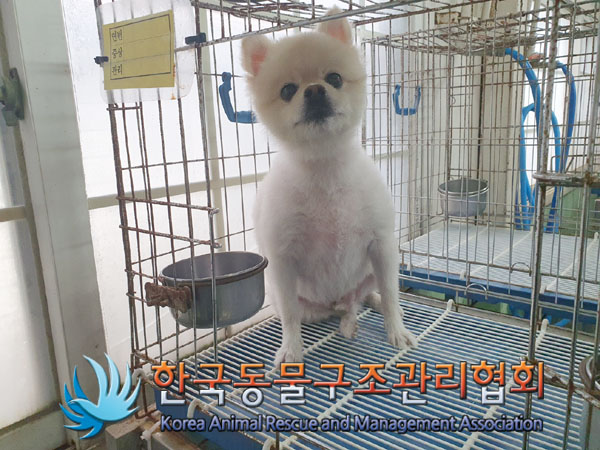 한국동물구조관리협회_411311202300639